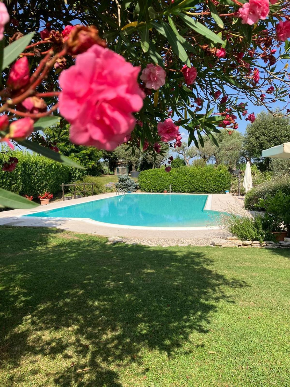 Agriturismo" Il Glicine Bianco" Monzambano Ngoại thất bức ảnh