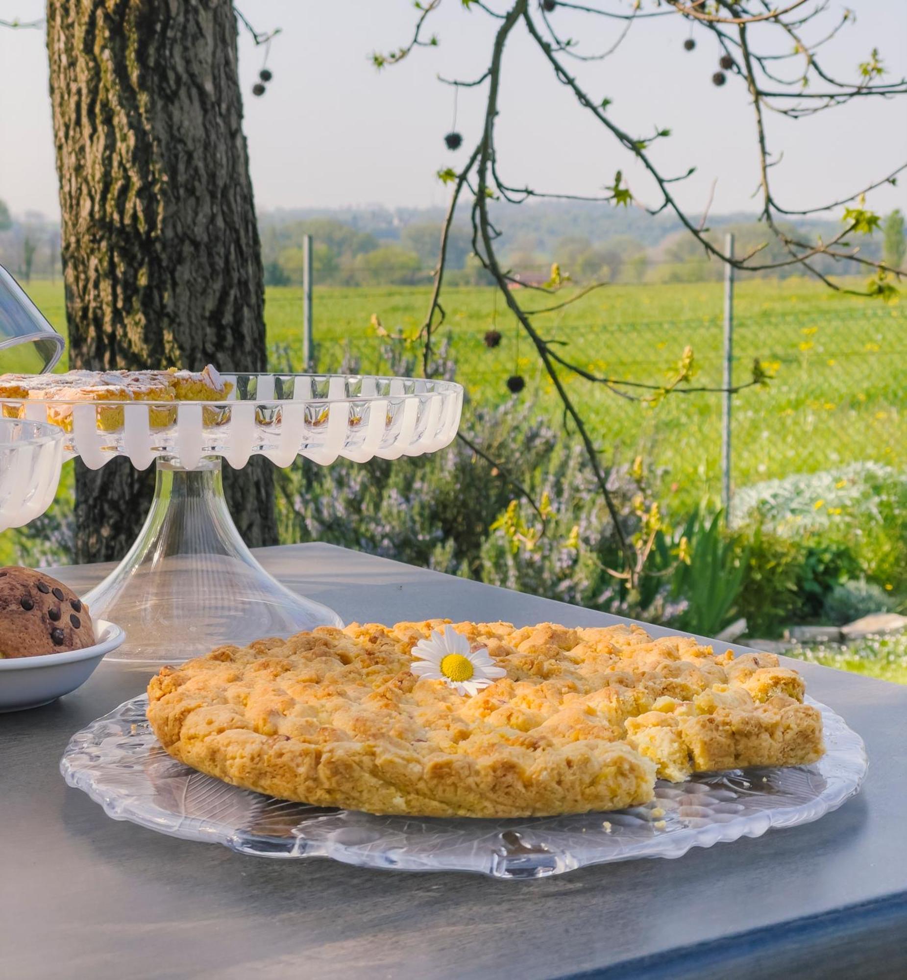 Agriturismo" Il Glicine Bianco" Monzambano Ngoại thất bức ảnh