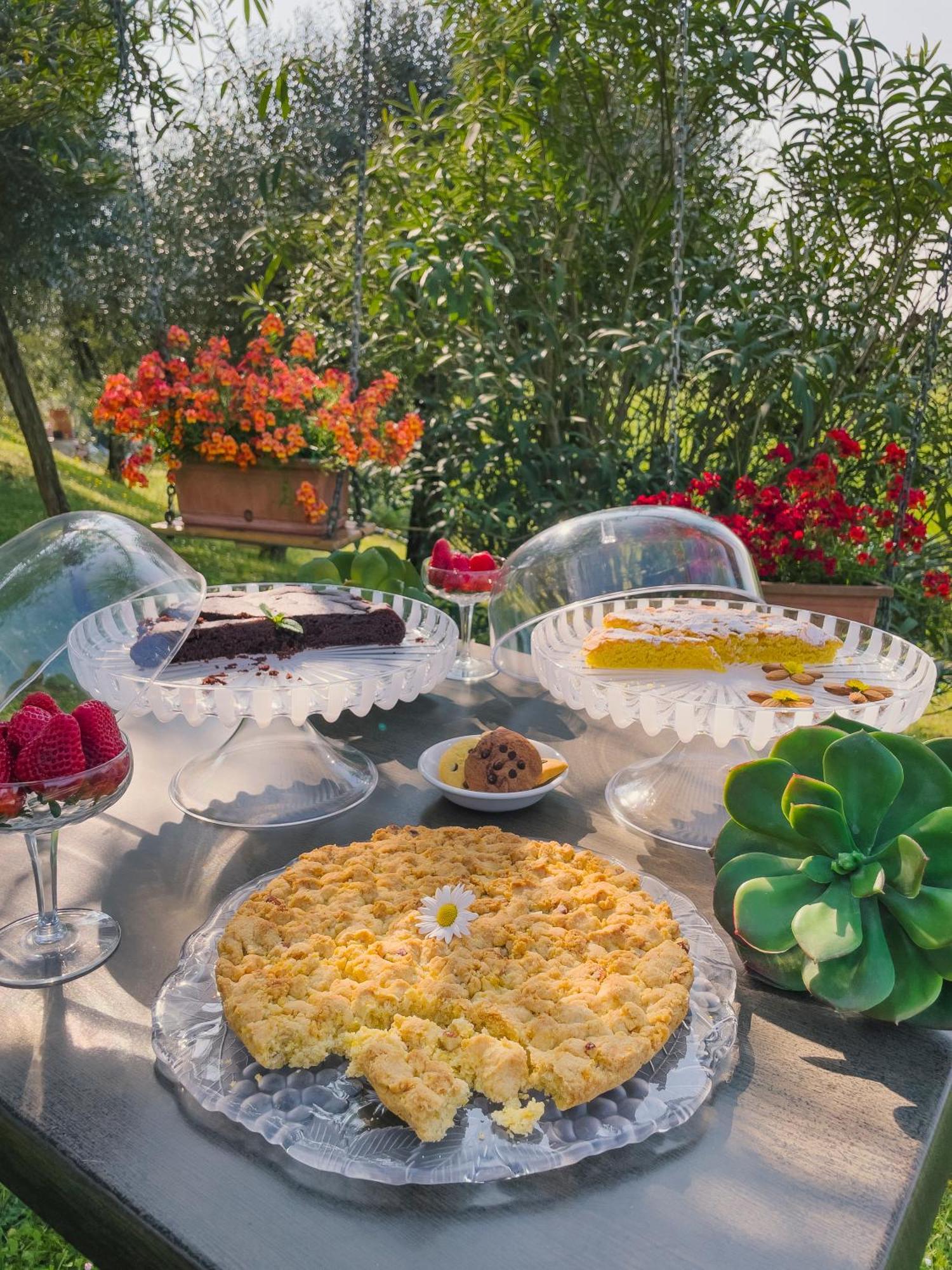 Agriturismo" Il Glicine Bianco" Monzambano Ngoại thất bức ảnh
