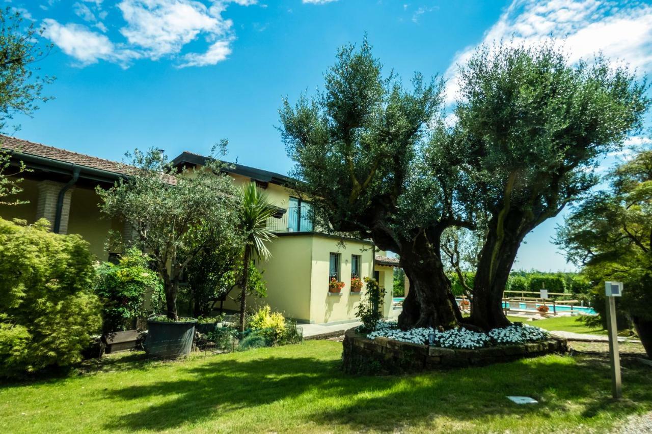 Agriturismo" Il Glicine Bianco" Monzambano Ngoại thất bức ảnh